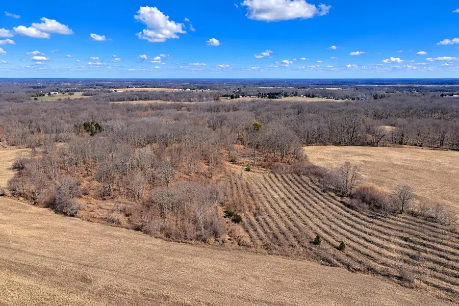 3291 Bessemer Road, Coloma, MI 49038 - #2