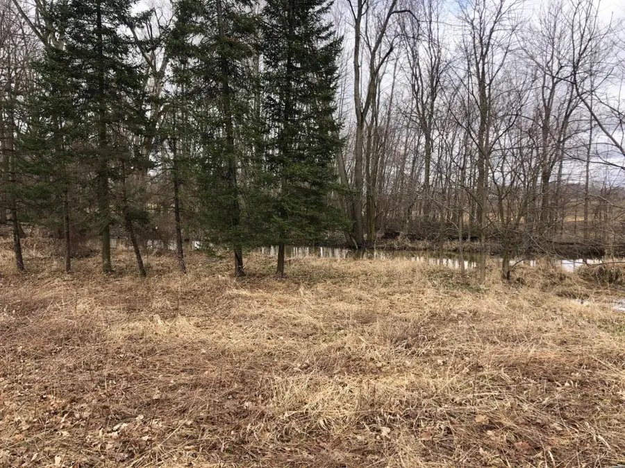 10220 Woodbridge Road, Camden, MI 49232 - #3