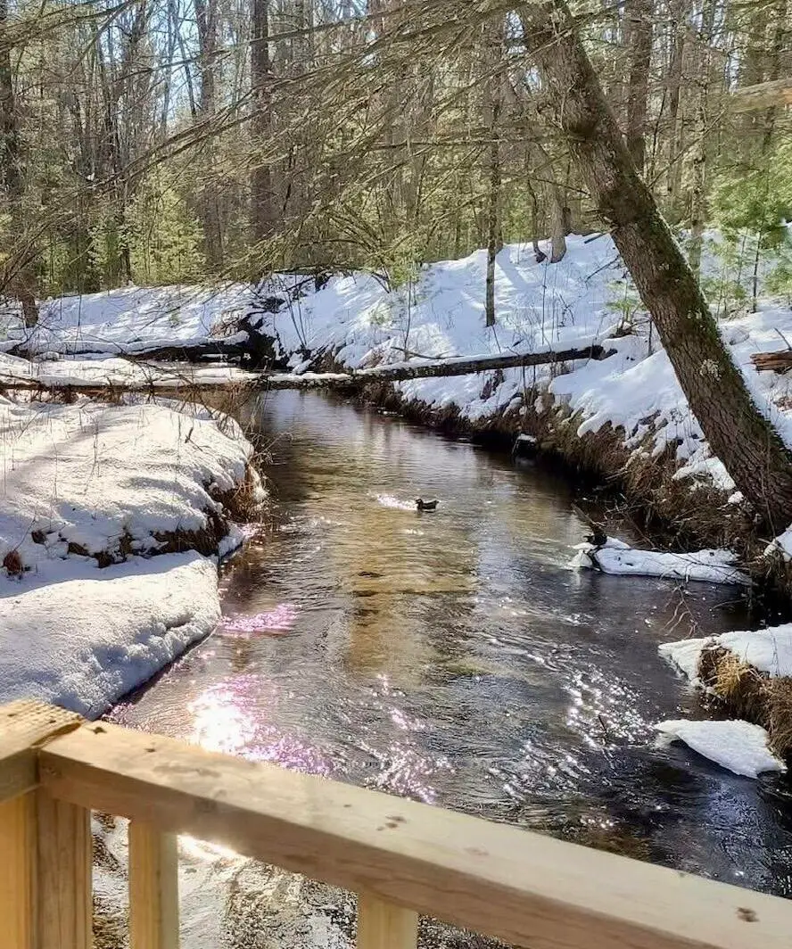 3833 E Creek Wood Drive, Chase, MI 49623 - #1