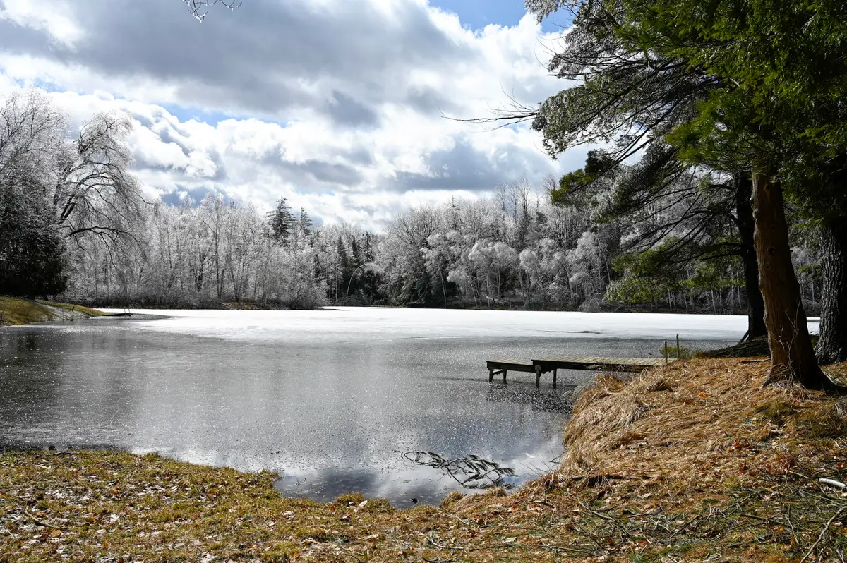 9828 Pontiac Trail, Evart, MI 49631 - #1