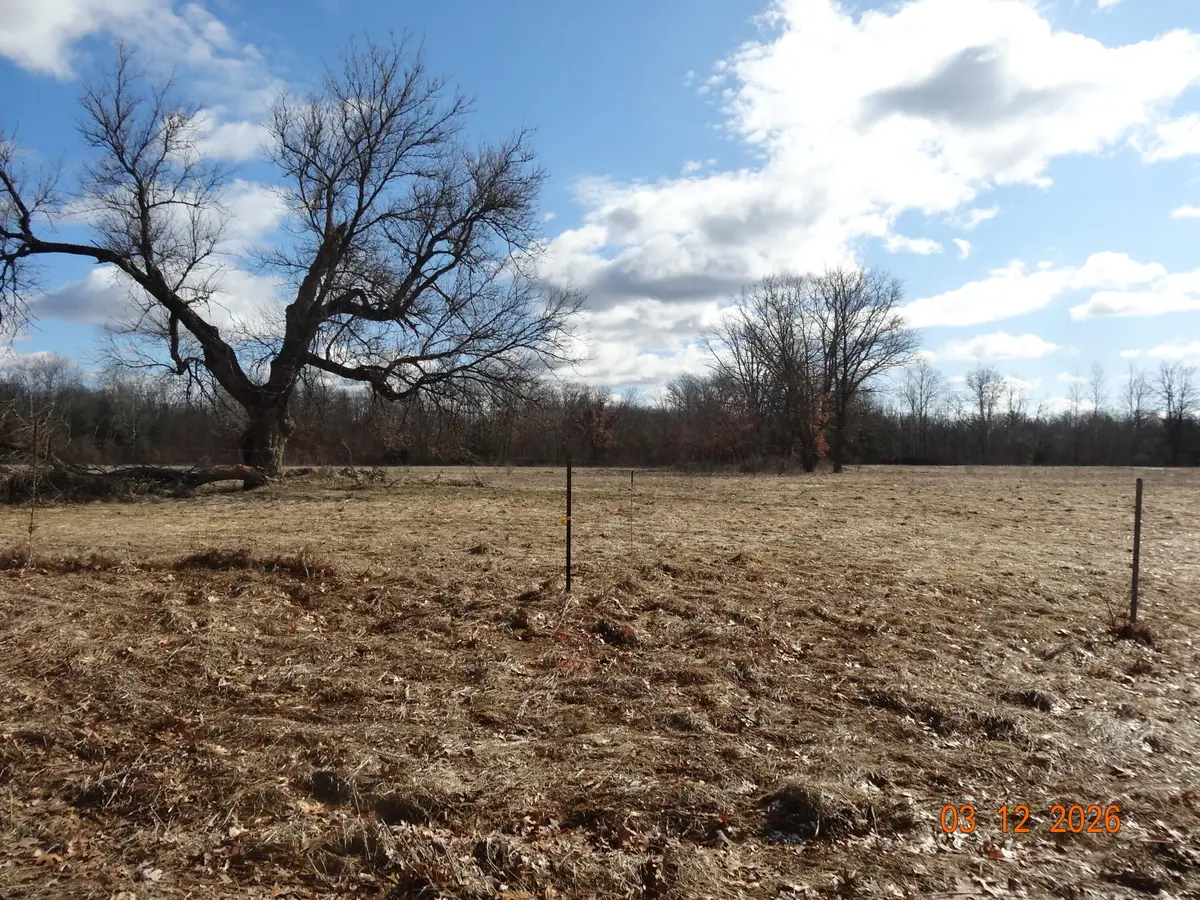 550 S Oak Avenue, White Cloud, MI 49349 - #1