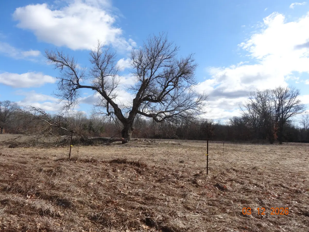 518 S Oak Avenue, White Cloud, MI 49349 - #1