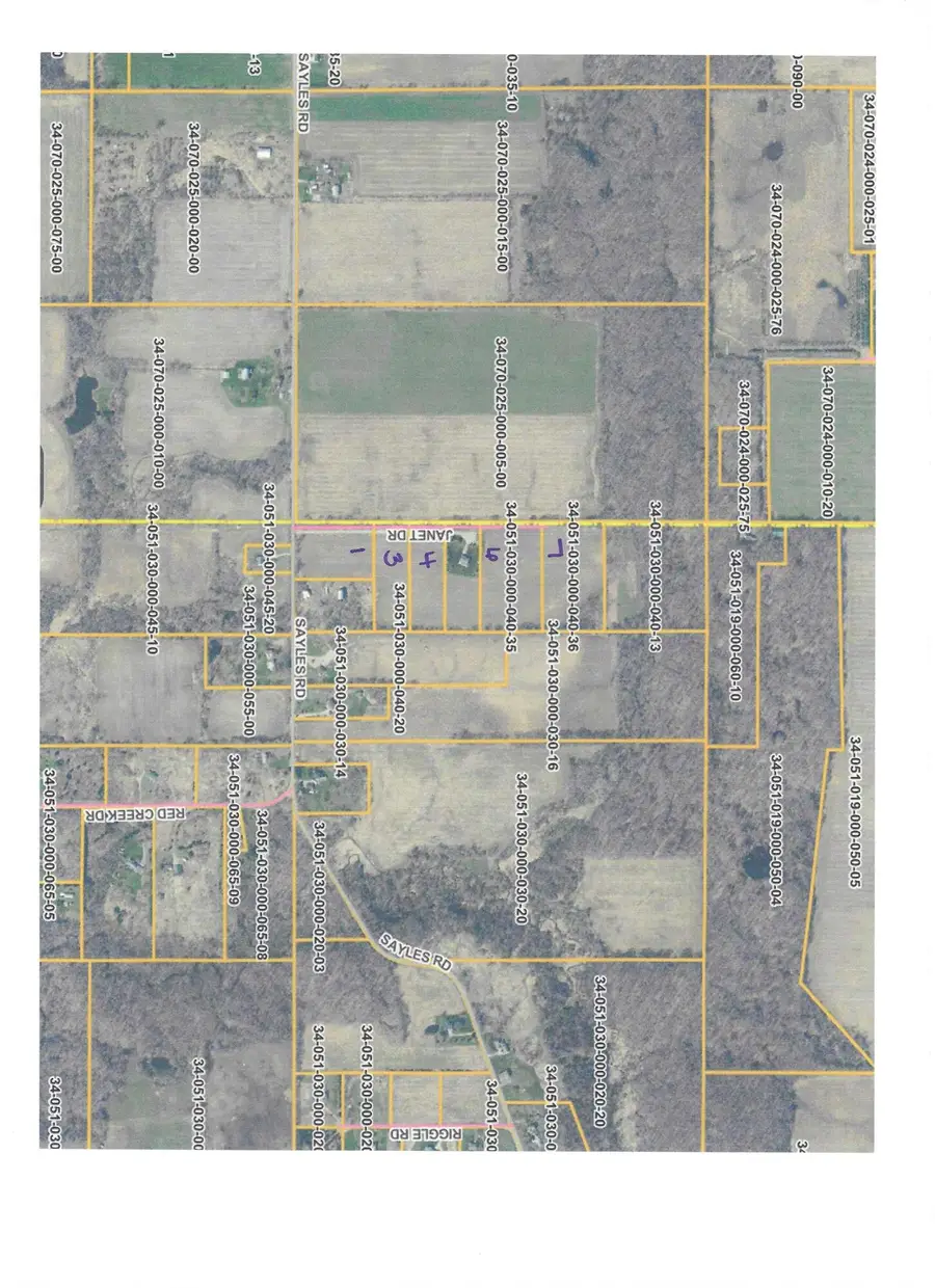 V/L Janet Dr Parcel 1, Saranac, MI 48881 - #2