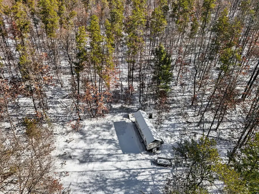 0 E Stark Road, Free Soil, MI 49411 - #3