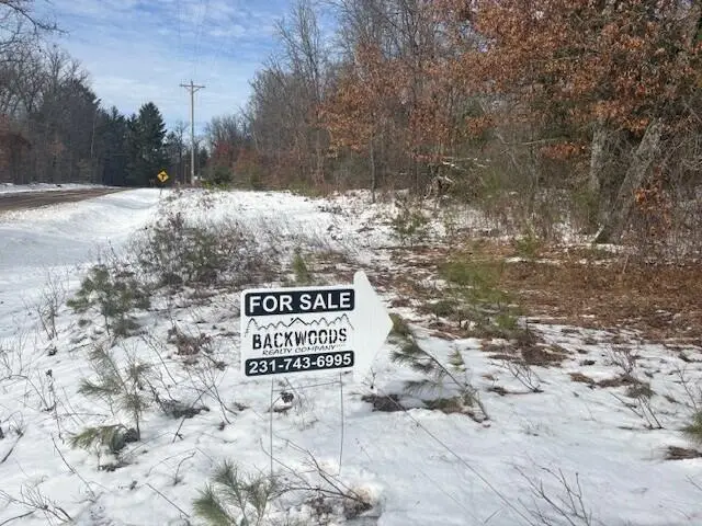 N 5th Avenue, Marion, MI 49665 - #1