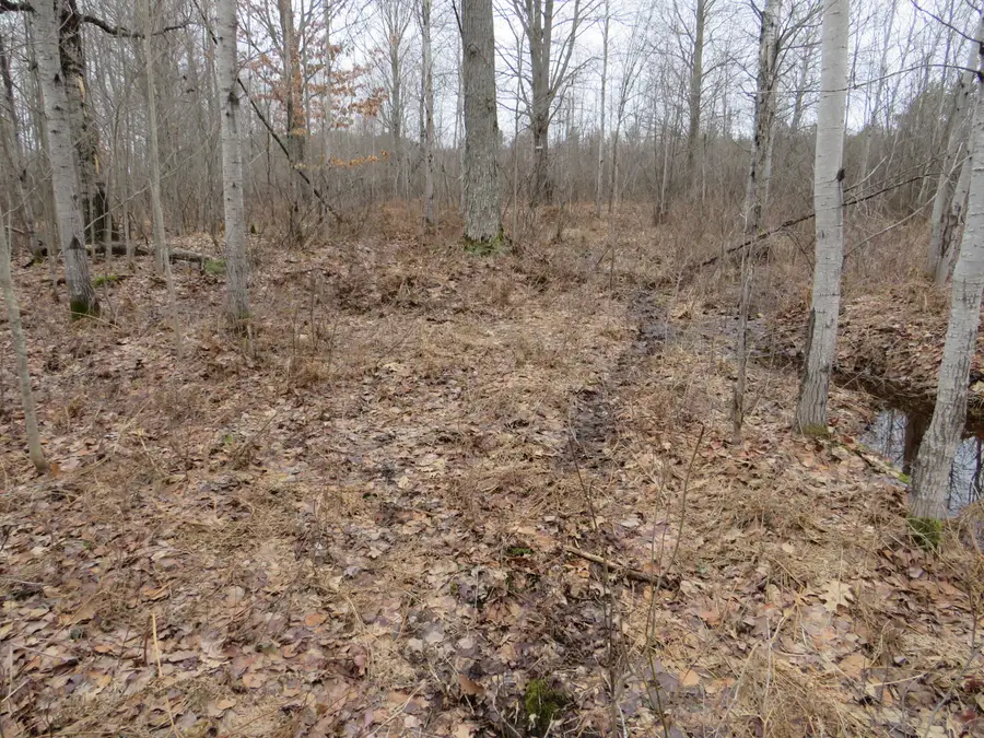 N Dorr Road, Merritt, MI 49667 - #2