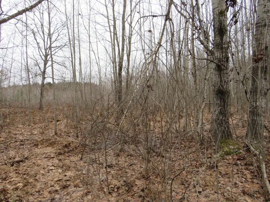 N Dorr Road, Merritt, MI 49667 - #3