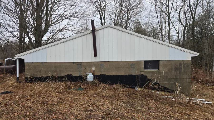 00 20 Mile Rd., Marion, MI 49665 - #3