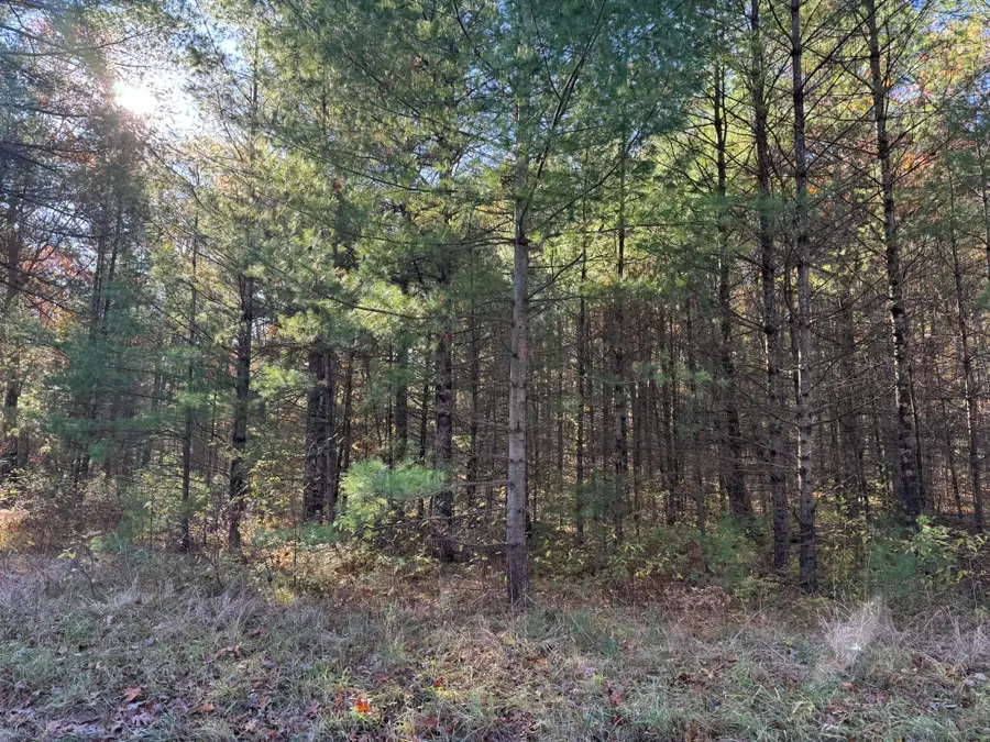 Parcel 1 County Line Road, Free Soil, MI 49411 - #3