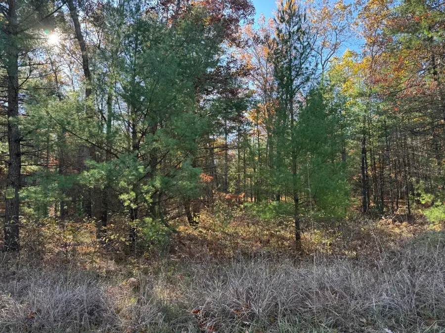 Parcel 2 County Line Road, Free Soil, MI 49411 - #3