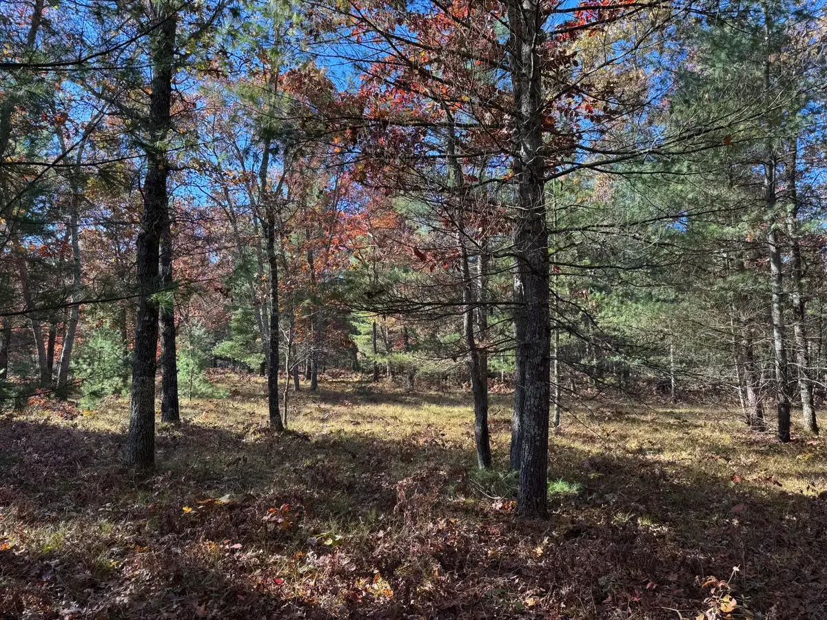 Parcel 3 County Line Road, Free Soil, MI 49411 - #1