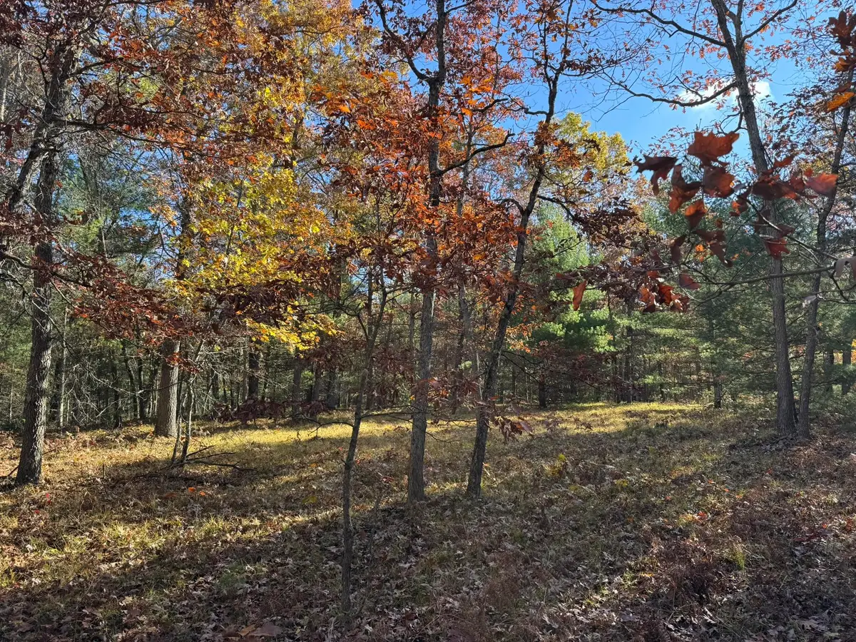 Parcel 4 County Line Road, Free Soil, MI 49411 - #1