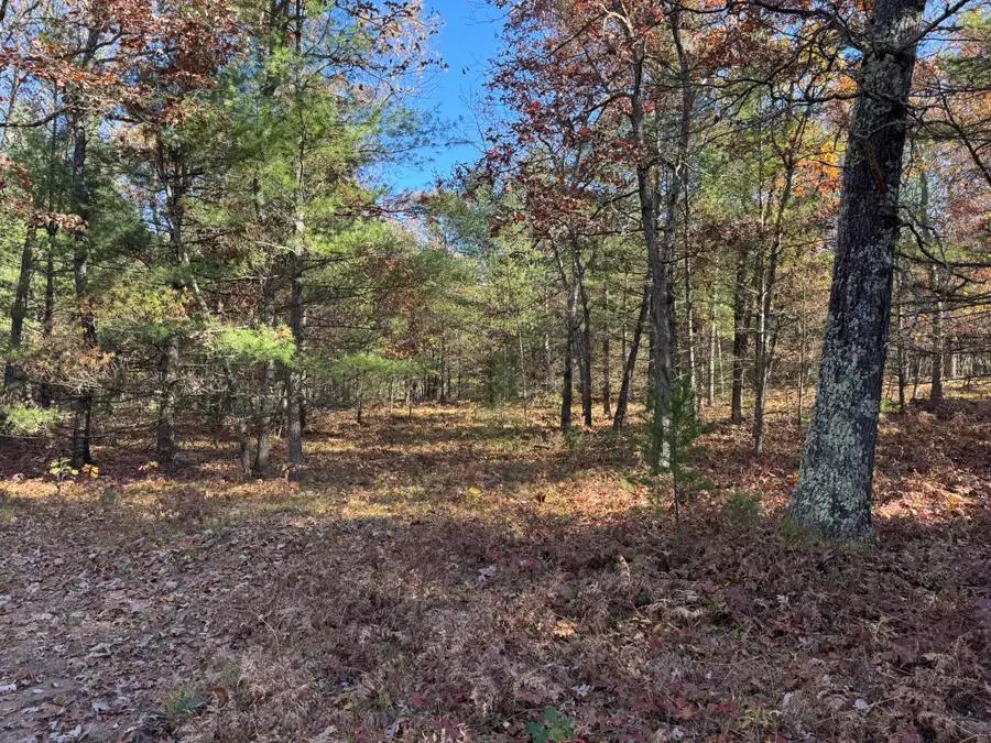 Parcel 4 County Line Road, Free Soil, MI 49411 - #3