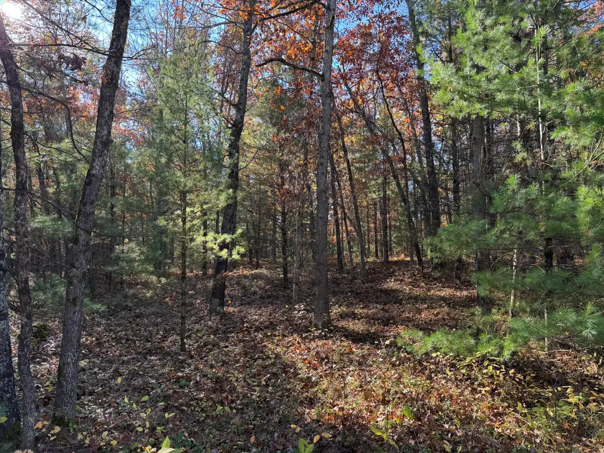 Parcel 5 County Line Road, Free Soil, MI 49411 - #1