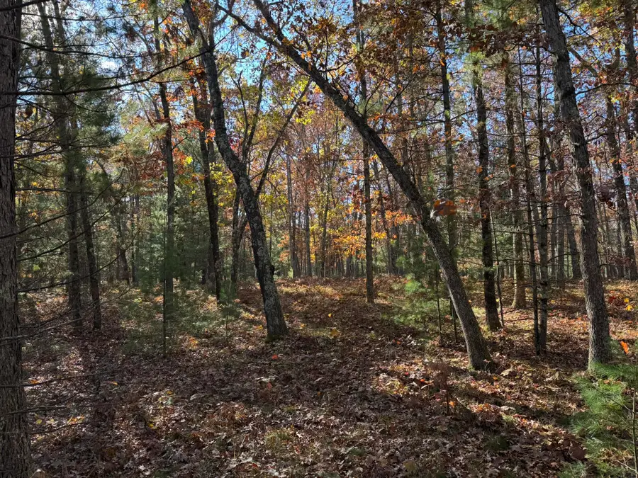 Parcel 5 County Line Road, Free Soil, MI 49411 - #3