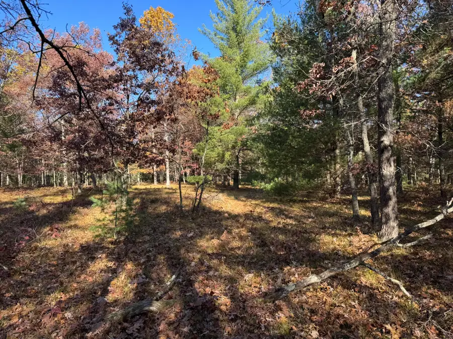 Parcel 6 County Line Road, Free Soil, MI 49411 - #3