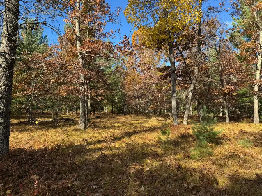 Parcel 12 County Line Road, Free Soil, MI 49411 - #3