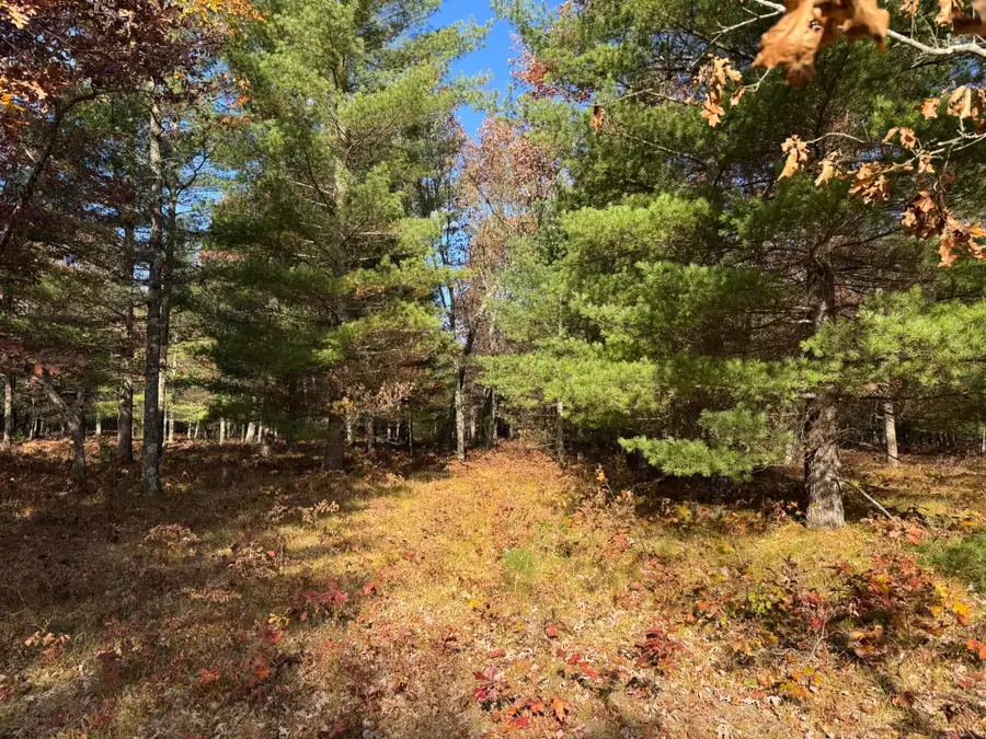 Parcel 13 County Line Road, Free Soil, MI 49411 - #3