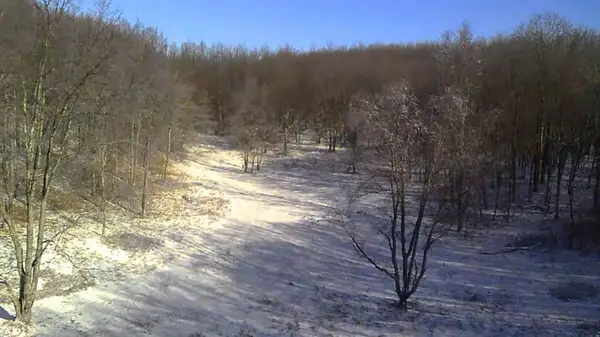 V/L 135th Avenue, Leroy, MI 49655