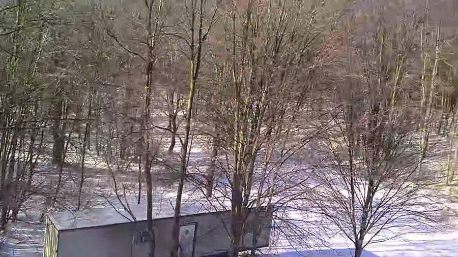 V/L 135th Avenue, Leroy, MI 49655 - #2