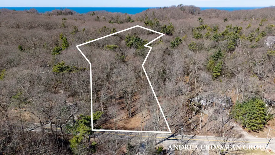 110 Park Street, Saugatuck, MI 49453 - #2