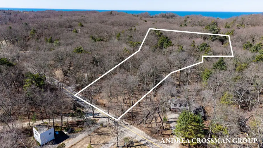 110 Park Street, Saugatuck, MI 49453 - #3