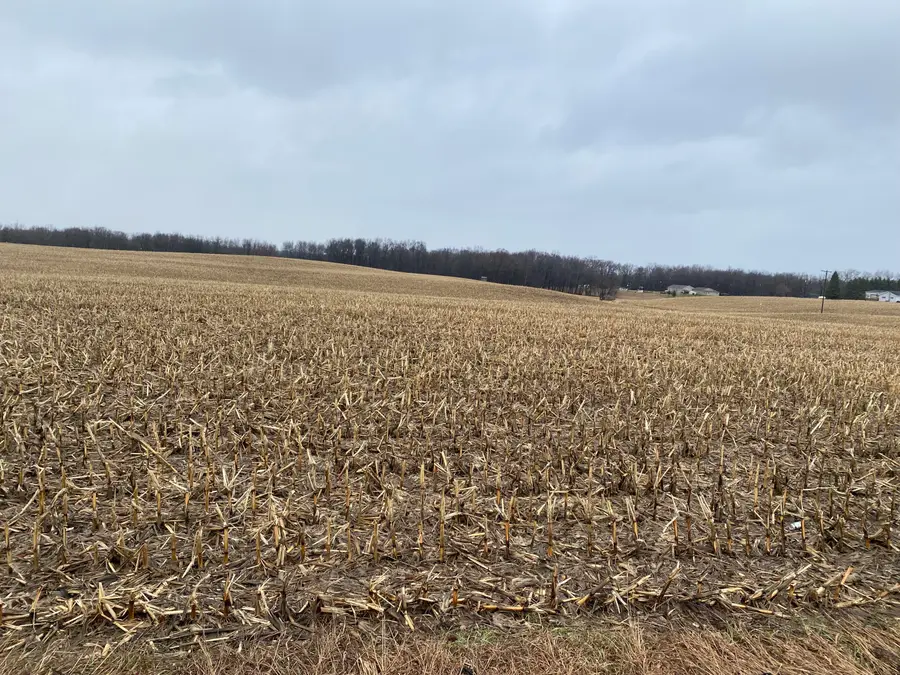 8251 Kimball Road, Lyons, MI 48851 - #2