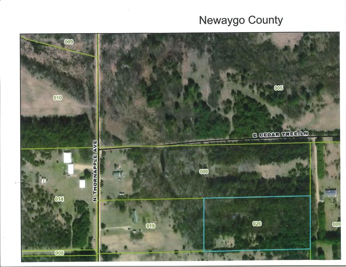 1138 N Thornapple Avenue, White Cloud, MI 49349 - #1