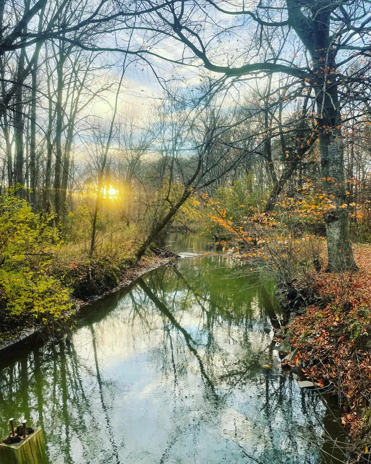 8040 W Martin Road, Three Oaks, MI 49128 - #1