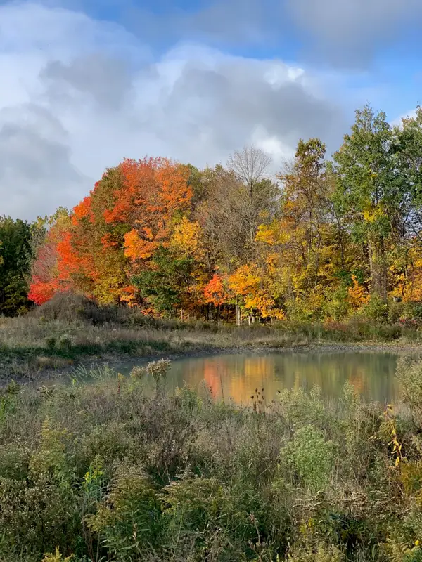 V/L Hidden Creek Trail #C, Hamilton, MI 49419