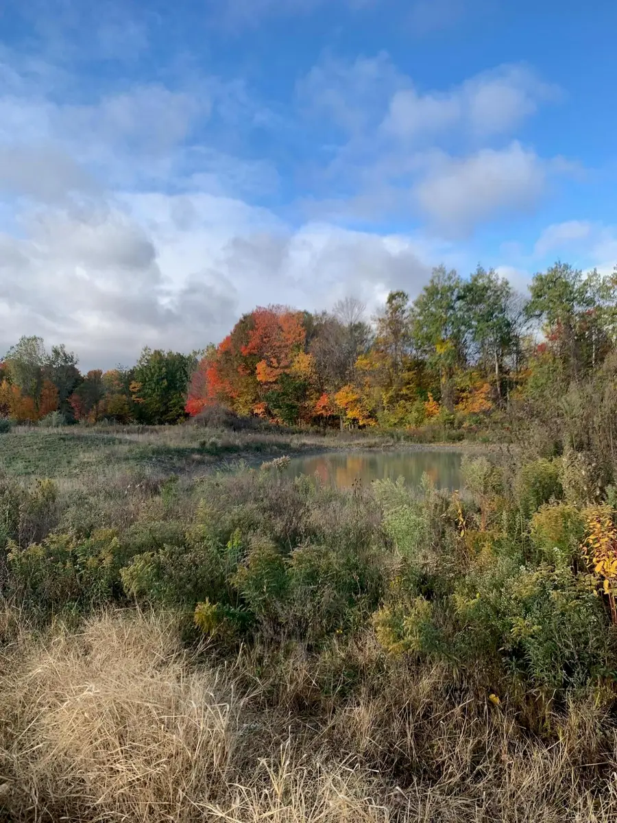 V/L Hidden Creek Trail #C, Hamilton, MI 49419 - #3