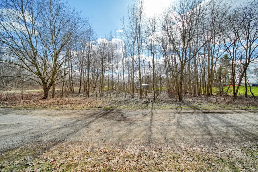 136 E Water Street, Homer, MI 49245 - #2