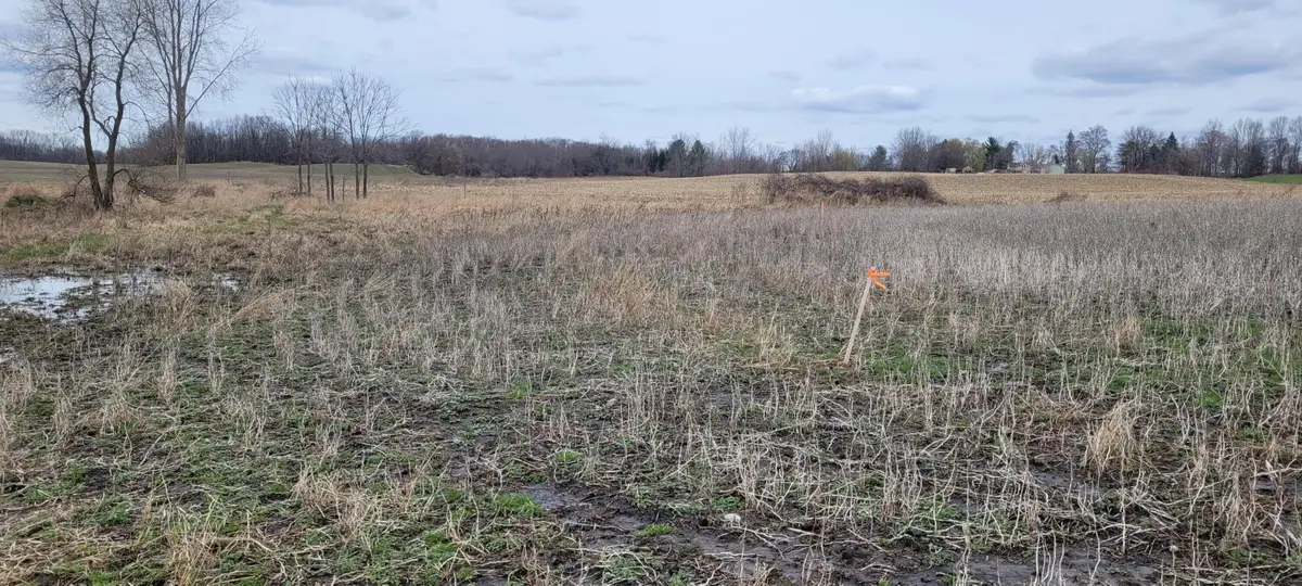 V/L Tasker Road, Lake Odessa, MI 48849 - #1