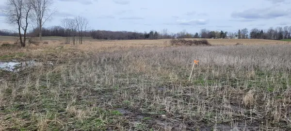 V/L Tasker Road, Lake Odessa, MI 48849