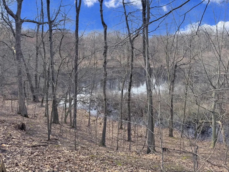 VL Head Road, Delton, MI 49046 - #3