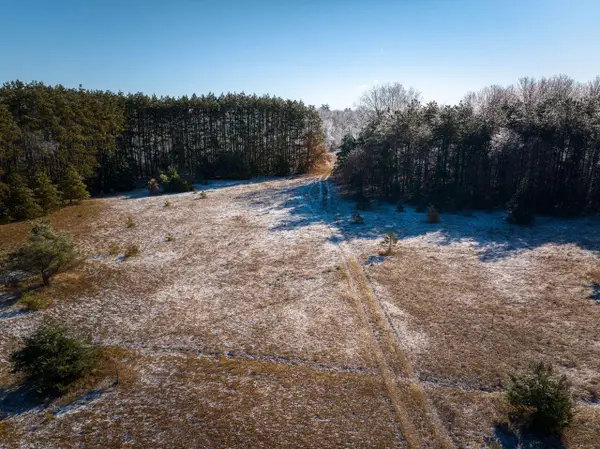 10836 30th Avenue, Evart, MI 49631