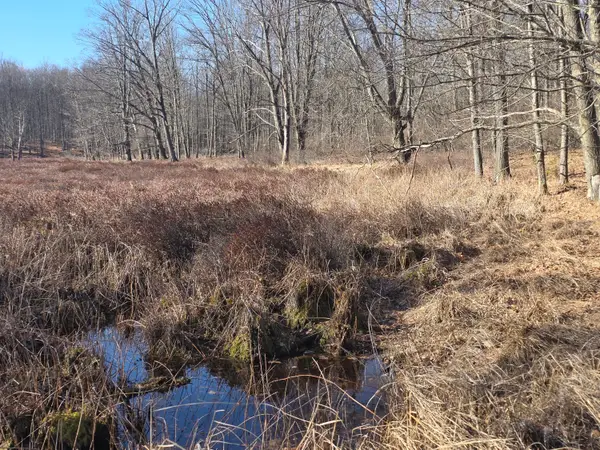 2 Mile Road, Evart, MI 49631