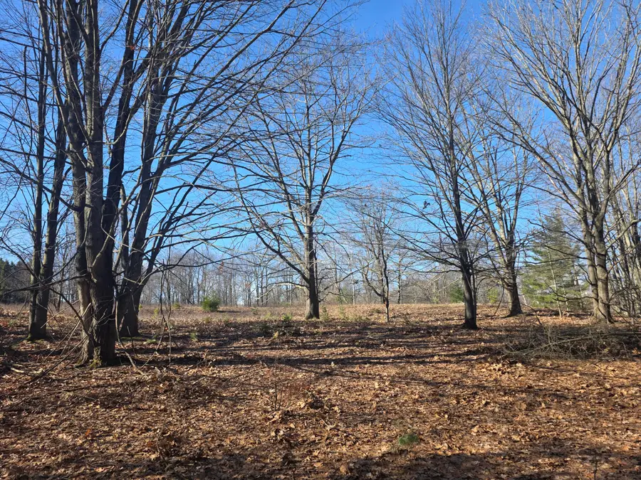 2 Mile Road, Evart, MI 49631 - #2