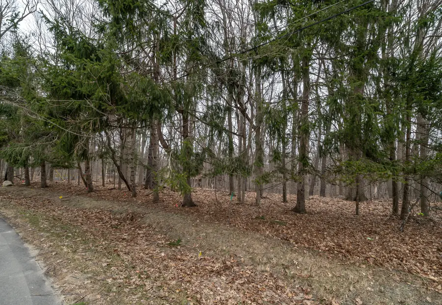 Lot 24 Quaker Valley Road, Farmington Hills, MI 48331 - #2