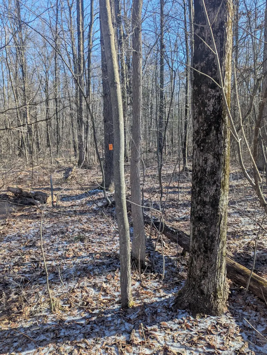 00 East Road, Montrose, MI 48457 - #2