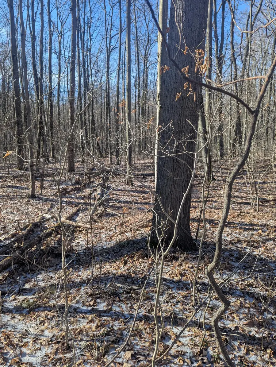 00 East Road, Montrose, MI 48457 - #3