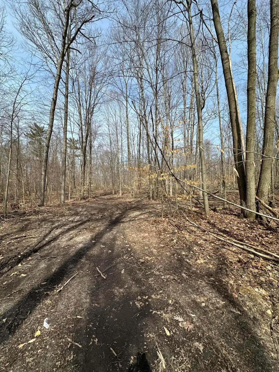 VL Lake Drive, Allegan, MI 49010 - #3