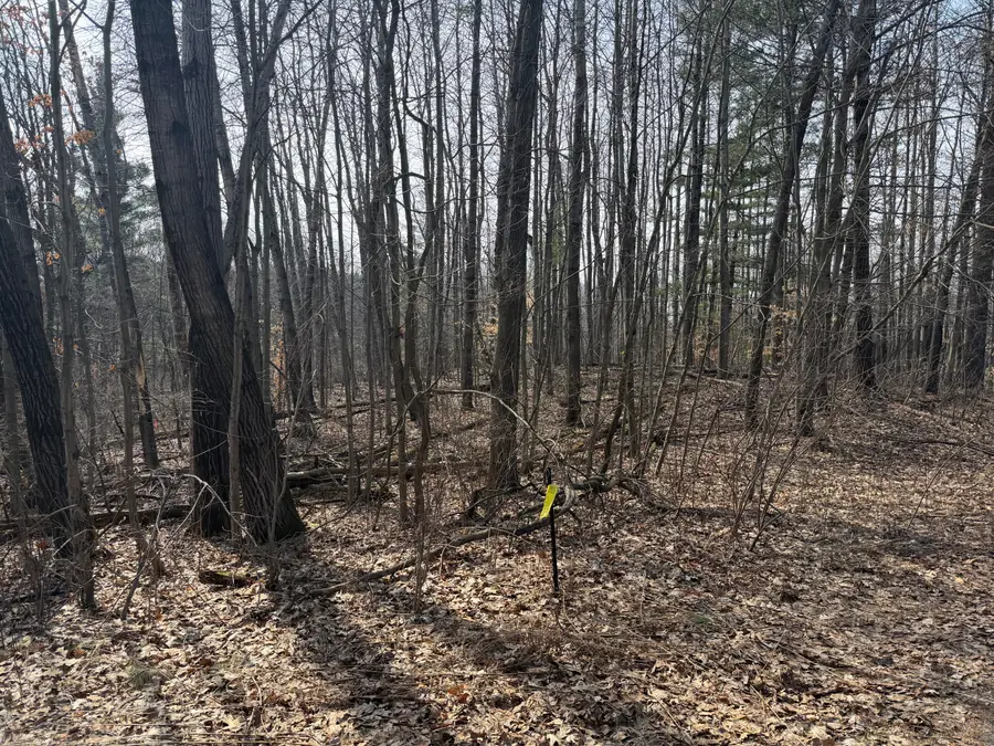 12952 Bowen Lake Drive Ne, Gowen, MI 49326 - #2