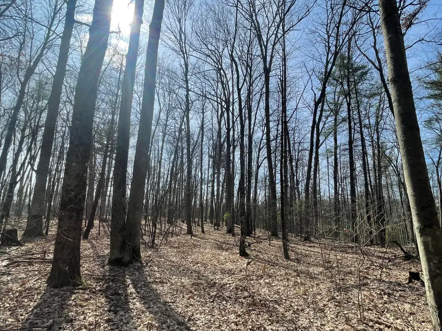 5243 S Basswood Drive, Newaygo, MI 49337 - #2