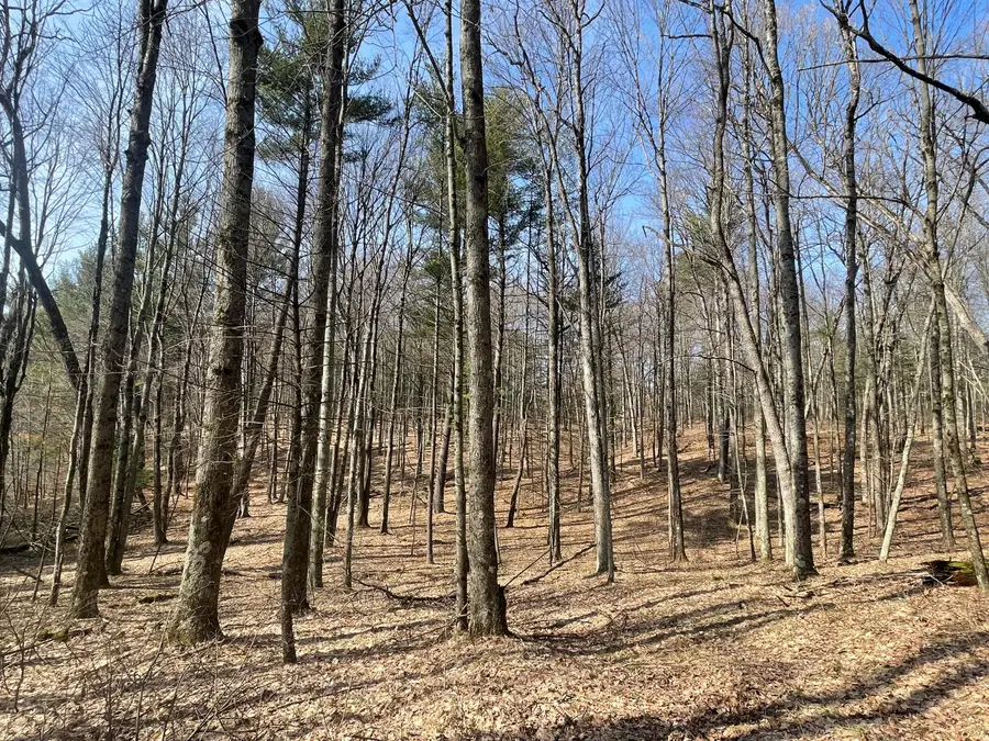 5243 S Basswood Drive, Newaygo, MI 49337 - #3