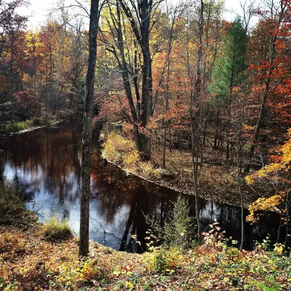 Vl 105th Ave, South Haven, MI 49090