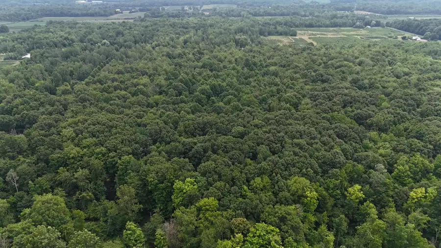 Vl 105th Ave, South Haven, MI 49090 - #3