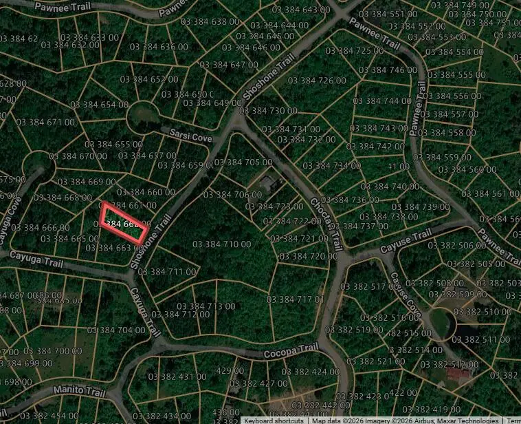 Cayuga Trail, Evart, MI 49631 - #2