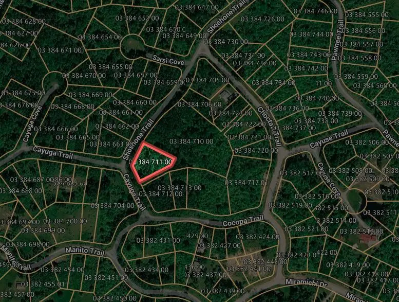 Coyuga/shoshone Trail, Evart, MI 49631 - #2