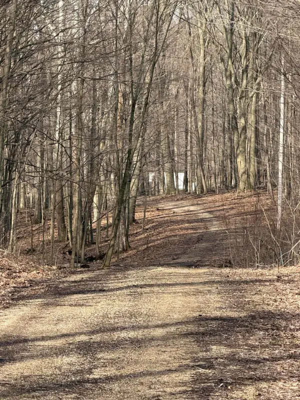 V/L 38th Street, Gobles, MI 49055